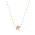 TC STAR PENDANT CZ INSET GOLD 165021