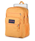 BIG STUDENT ORANGE SODA