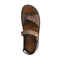 RAFE DOUBLE VELCRO 10104-BROWN