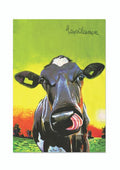 EOIN OCONNOR TEA TOWEL 3 PACK 138445