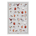 Farmyard Frolics Cotton Tea Towel 997U