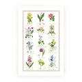 Botanic Garden Tea Towel BO634 TT