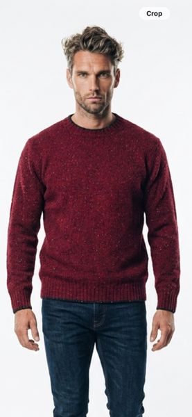 DEERPARK  DONEGAL SOFT JERSEY CREW FW25SC1-FIRE