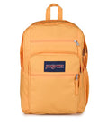 BIG STUDENT ORANGE SODA