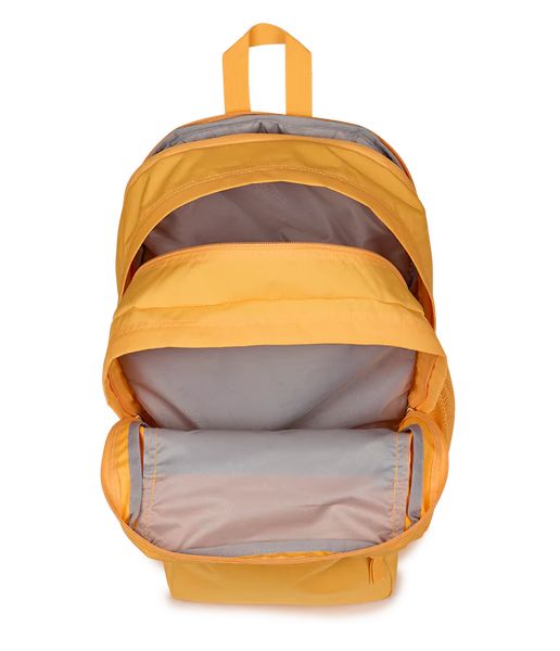 BIG STUDENT ORANGE SODA