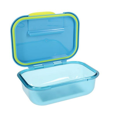900ML LUNCH BOX RACCOON M30874101